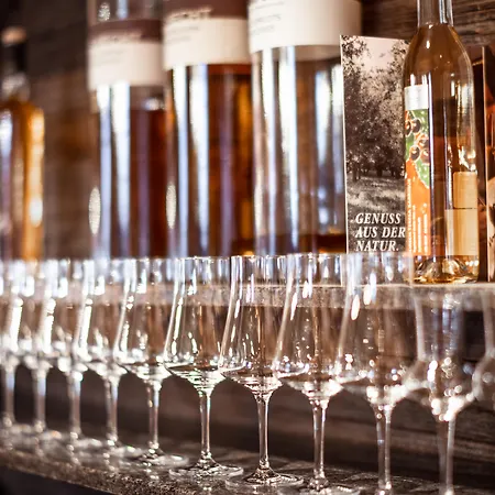 Tradition Julen 酒店 4*