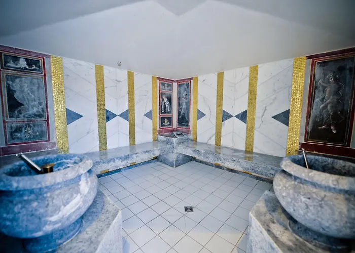 ホテル Tradition Julen 4*