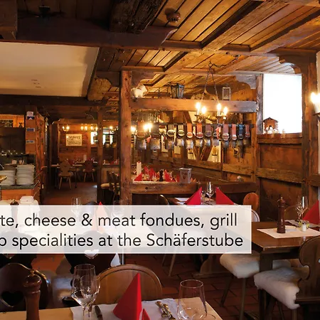 ホテル Tradition Julen 4*