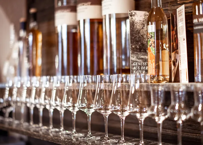 Tradition Julen Hotell 4*